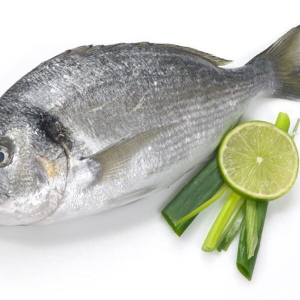 იყიდება დორადო (Gilt-head Sea Bream) — 800 გ | 30 ₾
