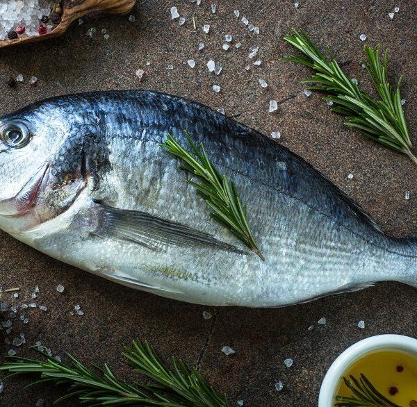 იყიდება დორადო (Gilt-head Sea Bream) — 800 გ | 30 ₾