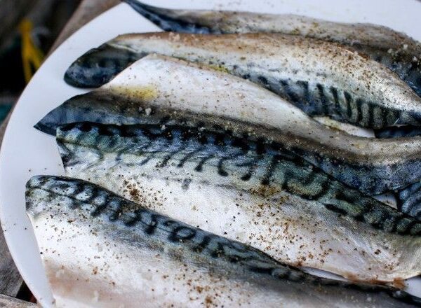 სკუმბრია (Mackerel) — ახალი