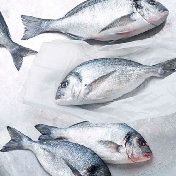 იყიდება დორადო (Gilt-head Sea Bream) — 800 გ | 30 ₾