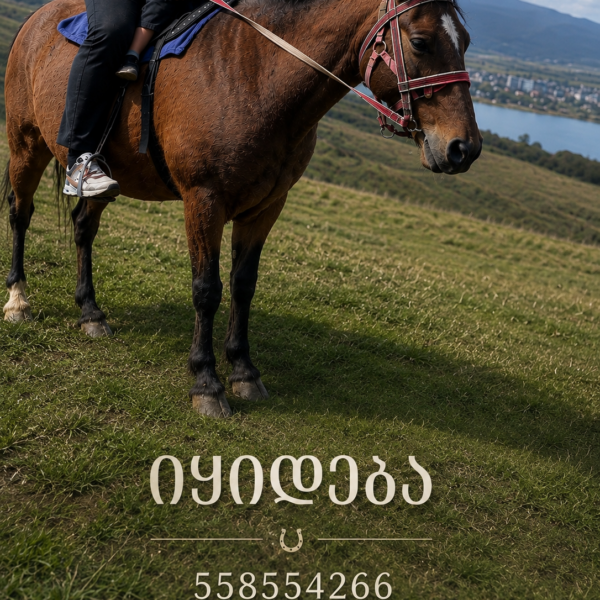 საცხენოსნო კლუბი ქორია